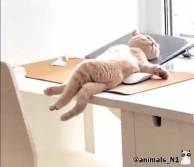 And how is your hard working day