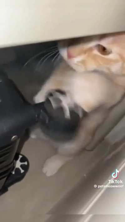olha ele fazendo a baliza direitinho ☝️