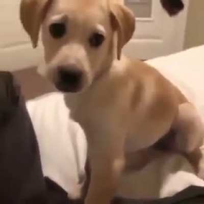 Cute boy
