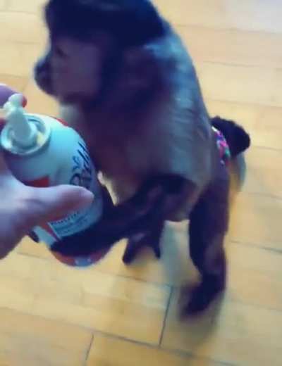 Little guy with his whipped cream. Can&rsquo;t get enough!