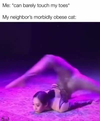 Bonuses of species
