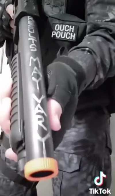 literal toddler with springers &ldquo;flexes&rdquo; his loadout on tiktok