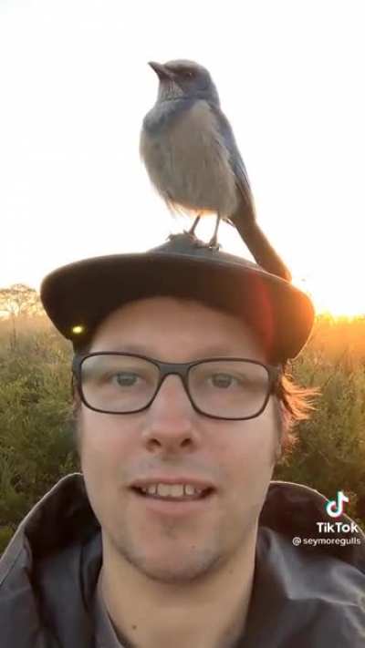 Hello friend