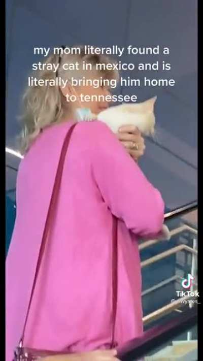 spotted one of you or your mom on tiktok earlier&hellip;