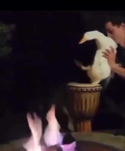 Maybe maybe maybe