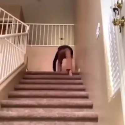 A normal day at the crib