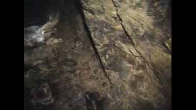 "Better dead than red" Ok into the pit with you