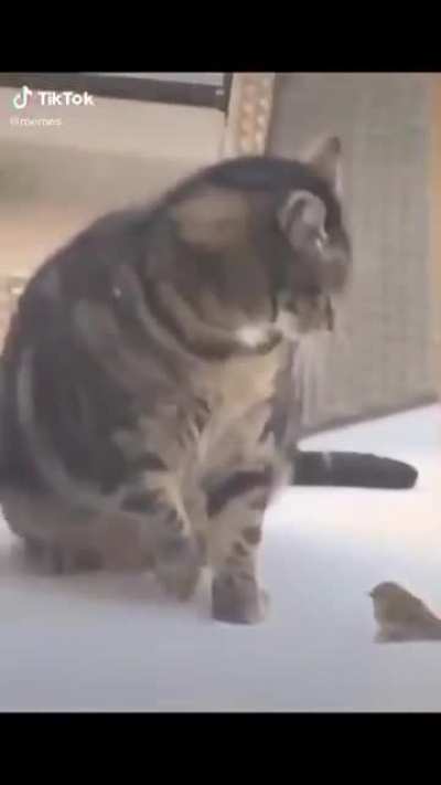 It's fragile! (sorry if repost kinda new)