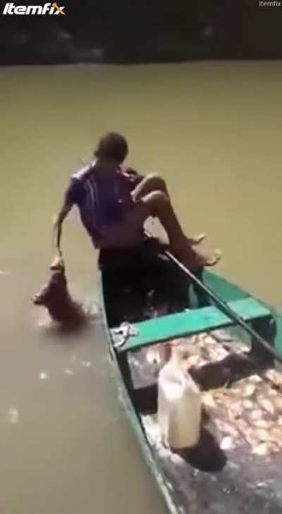 Na hora de pescar piranhas, anzol e vara s&atilde;o completamente dispens&aacute;veis quando vc tem um belo bif&atilde;o