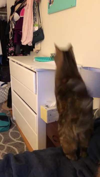 She&rsquo;s usually pretty good with her jumps.