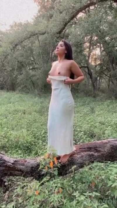 Aportaci&oacute;n