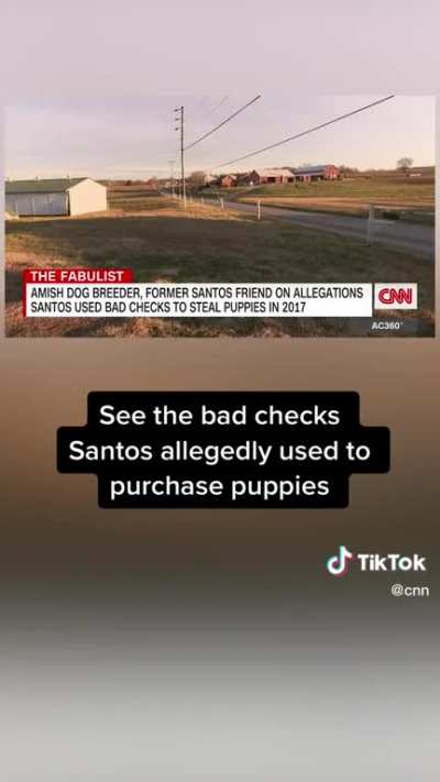 JFC we literally have a Congressman who stole puppies from Amish people to sell to fund his fake charity which he stole from.