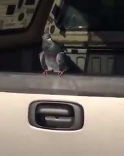de fato, ele morreu☹️