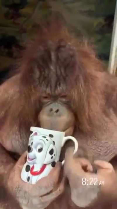 Morning coffee