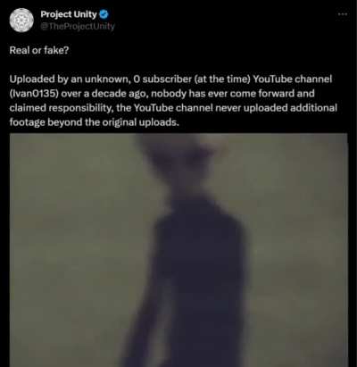 It is a wild video