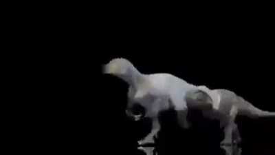 Areosteon. Torvosaurus, and&hellip; him
