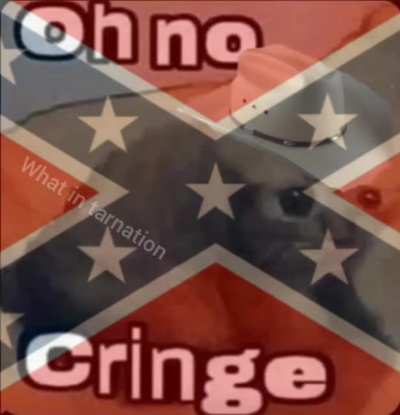 There's no more cringe on the subreddit