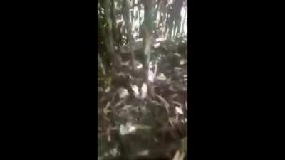 Arakan Army Ambush Myanmar Army forces, killing several and taking at least three prisoners. (2020, pre-coup. Myanmar Military Still Held Political Power under 2008 Constitution)