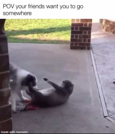 Leave me alone
