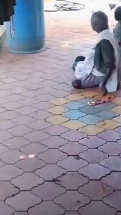 Man catches dinner