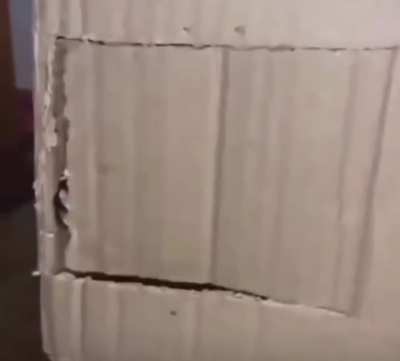 Who's there?
