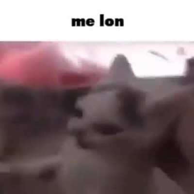 Blursed_Feast