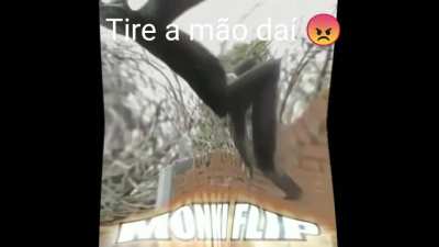 Tire agora mesmo 😠