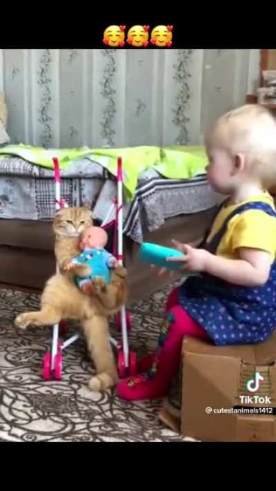Movie &ldquo; Misery&rdquo; ..cat version