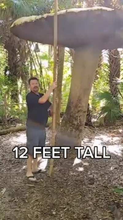 This 12 feet tall mushroom