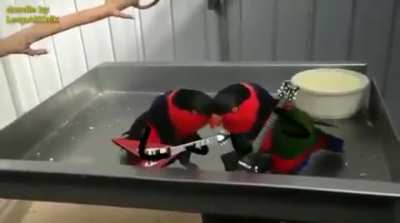 Sick taps though