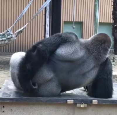 Waiting for Monday.
