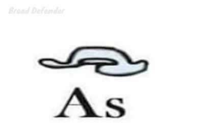 amogos