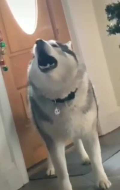 At some point, I'm sure we all felt like this