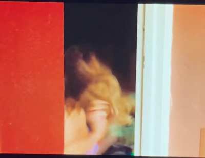 Jade Bra Gif in &ldquo;Fish out of Water&rdquo;