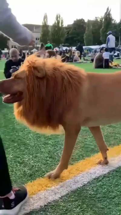 Took me a minute