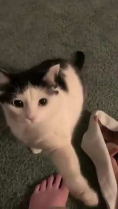 Hey look at me, stop looking looking at your phone,I&rsquo;m talking to you.