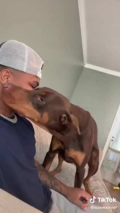 Kiss Goes Wrong&hellip;