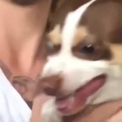 Existential dread