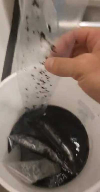 When the fan blades on your evaporator are caked with black shit.