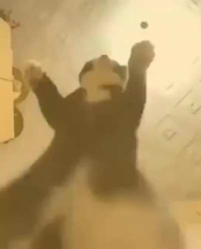 El Esteban modo sexo we