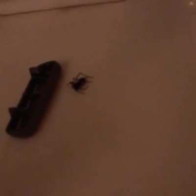 Thought it was dead