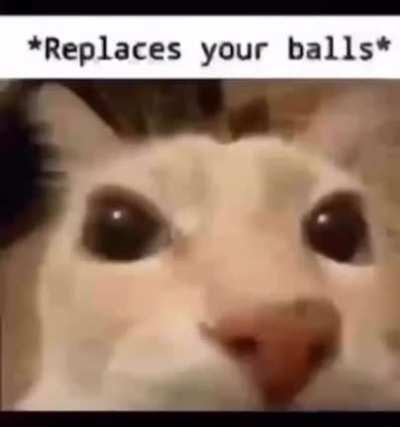freah balls