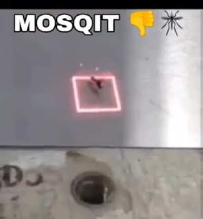 the war has begun
