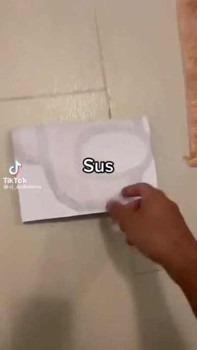 Sus