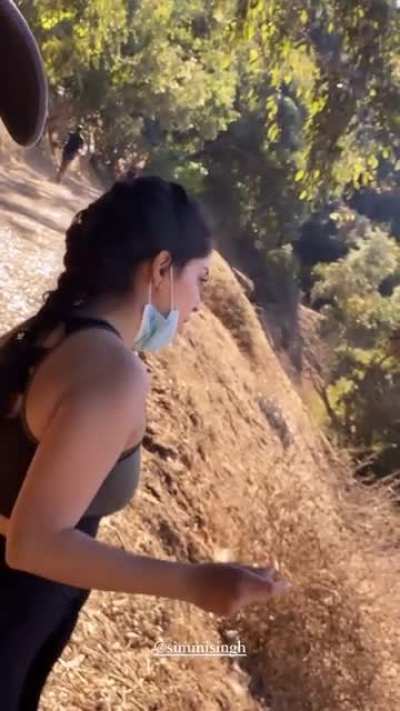 Hiking