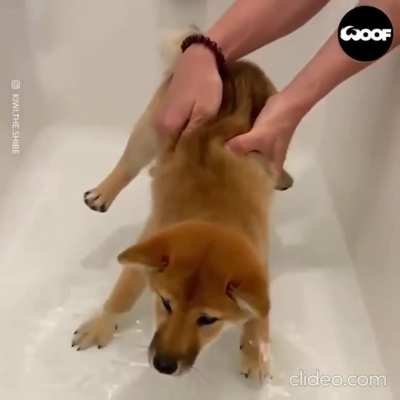To avoid water