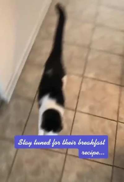 Not recommended for cats