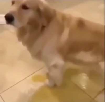 6yo me when dad had to take me to school
