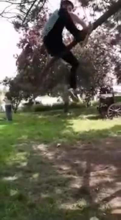 Never bother a tree or...