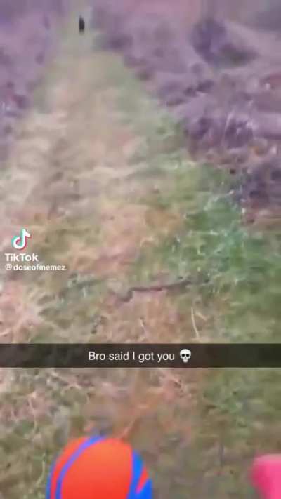 Please Stop Reposting